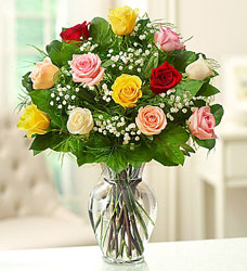Long Stem Multi Coloured Roses Flower Power, Florist Davenport FL